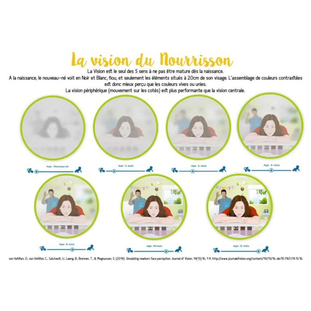 La vision des nouveau-nés : Un voyage fascinant de la naissance à 12 mois