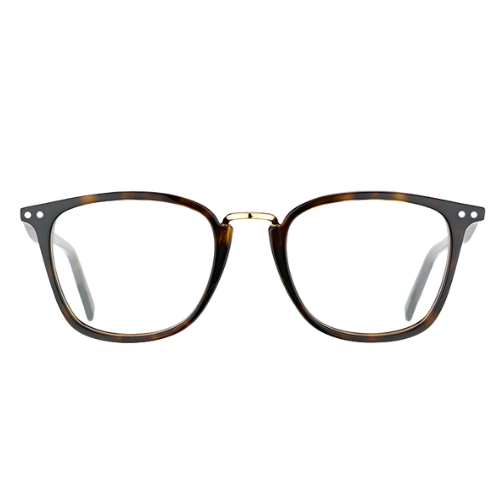 CELINE - CL 41419