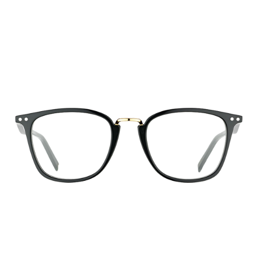 CELINE - CL 41419