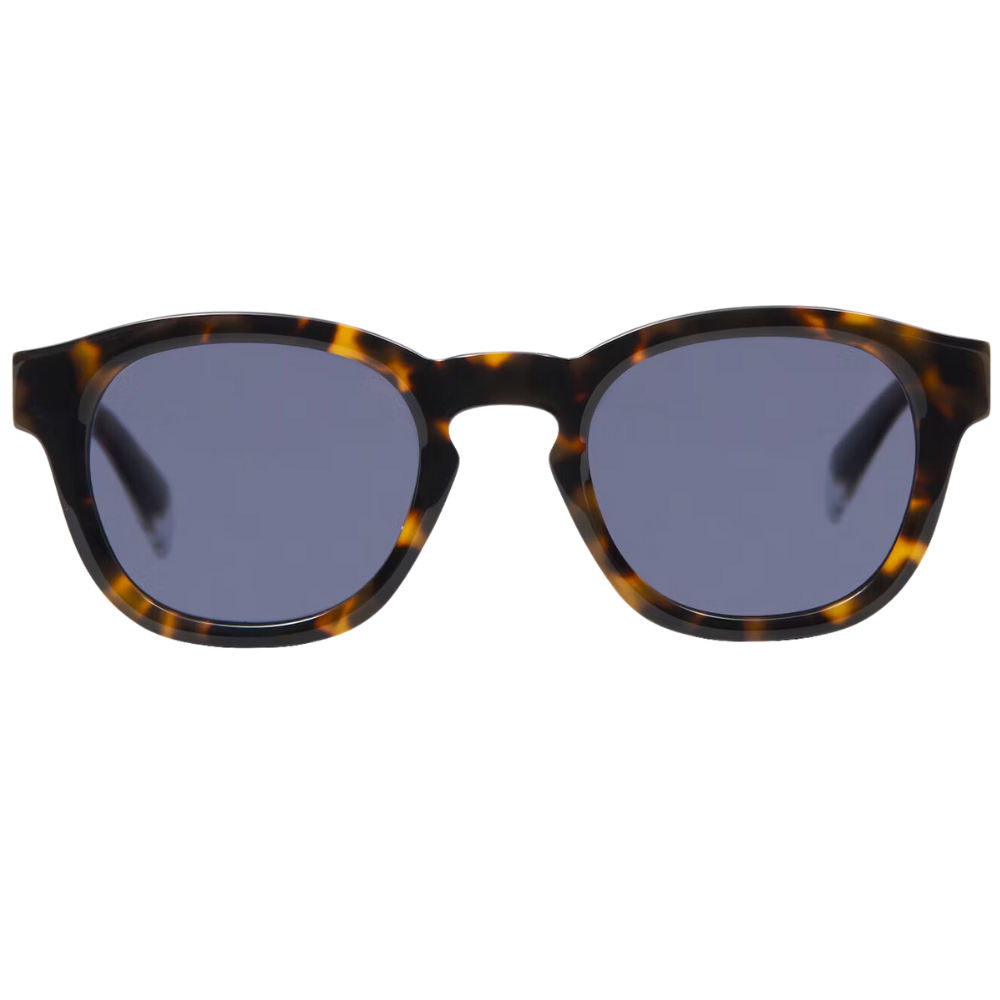 GIGI_STUDIOS_1356_GALILEI_6786_2_HAVANE_OPTICAL_AIRLINES