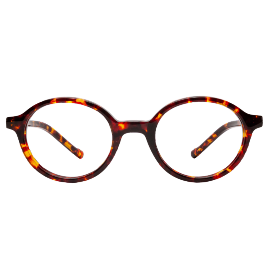 BBIG - 207 TORTOISE 467