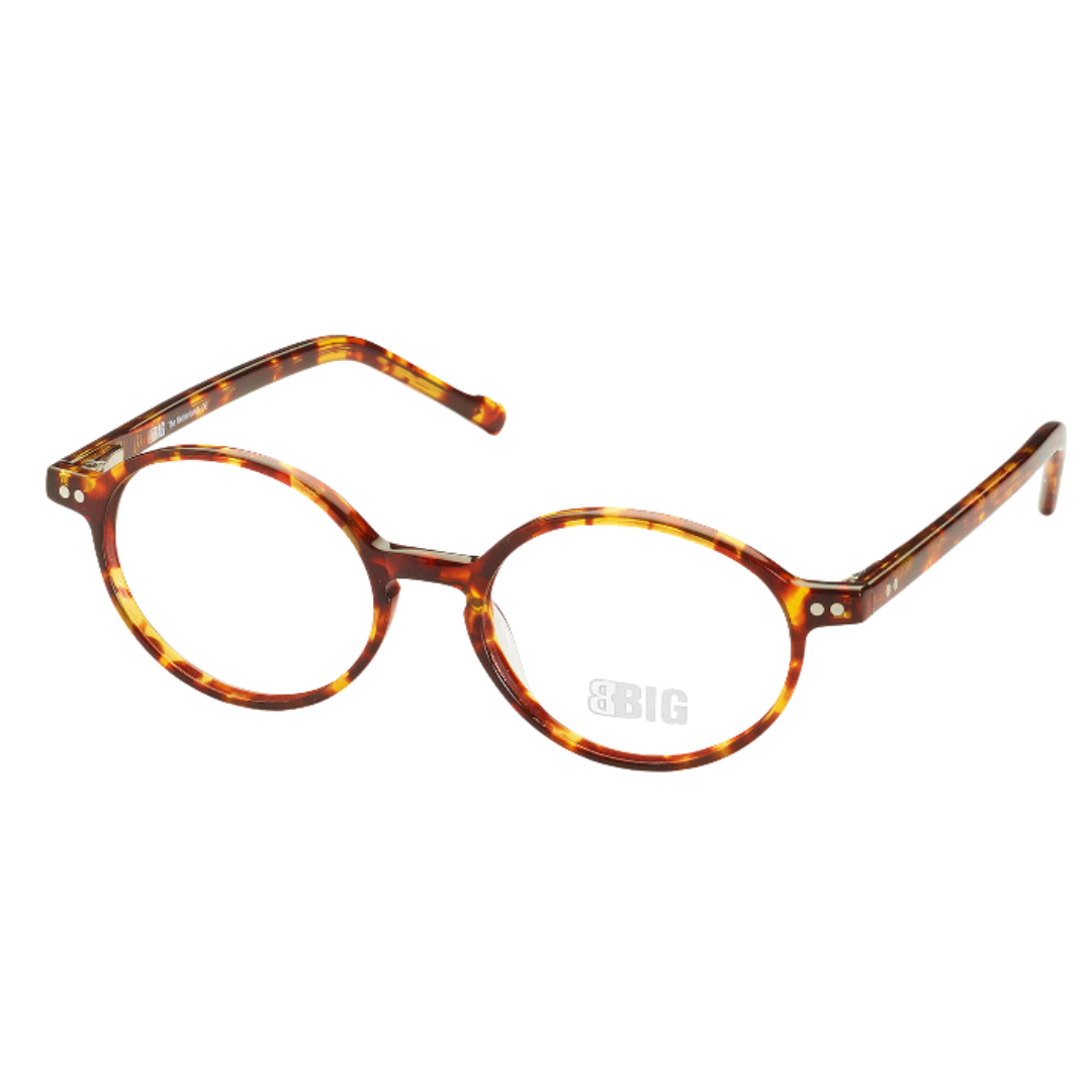 BBIG - 241 TORTOISE 467