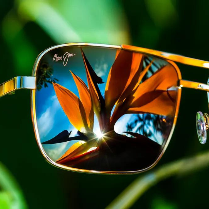 Plongez dans l'univers des lunettes de soleil Maui Jim: Histoire, Promesse et Philosophie