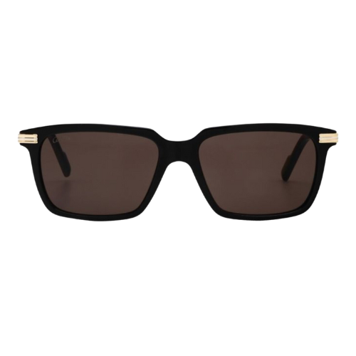 Lunettes de soleil pour Homme CARTIER CT0220S