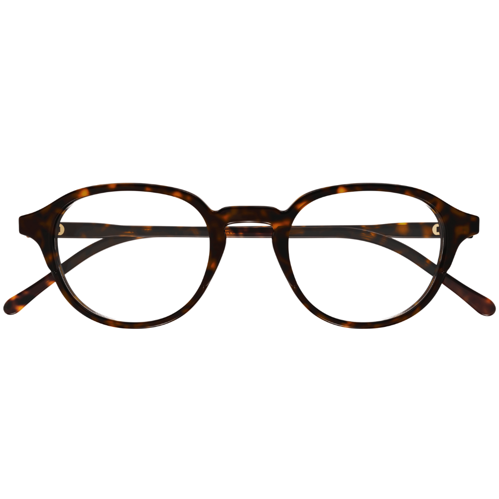 GUCCI-GG1212O-HAVANE-OPTICAL-AIRLINES